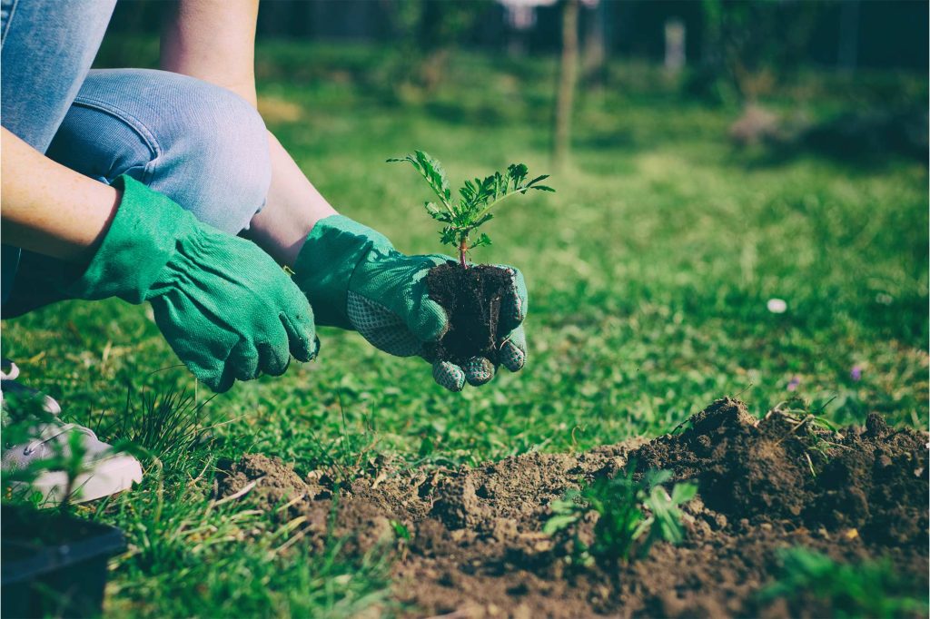 persona con guanti da giardino fa giardinaggio